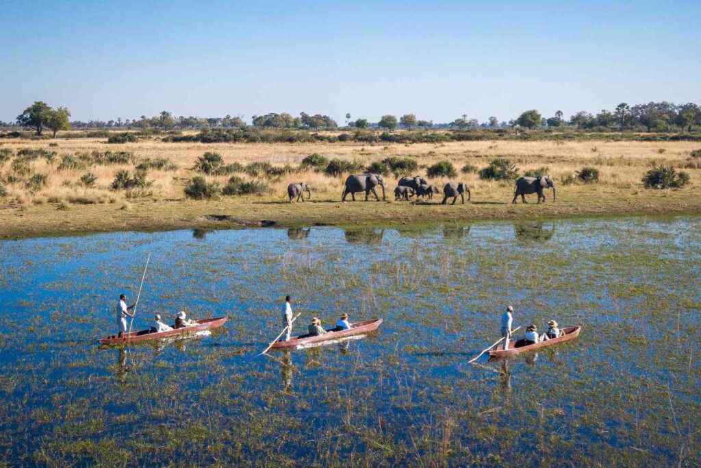 How Northern Botswana’s Evolving Landscape Became A Haven For Wildlife