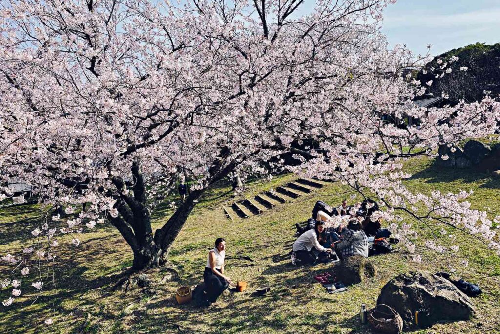 You can taste the four seasons of japan at this