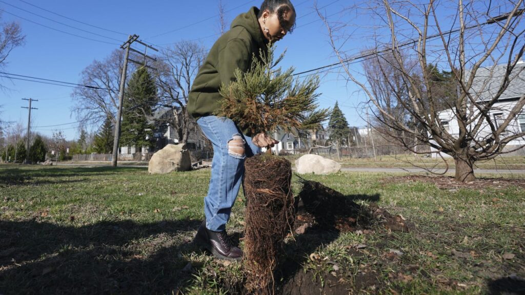 Earth day 2025: detroit plants sequoias to clean the air—and