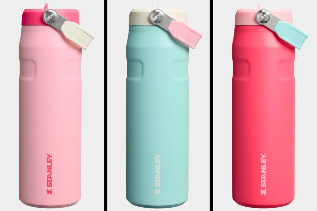 Travelers are running to amazon to get these new stanley