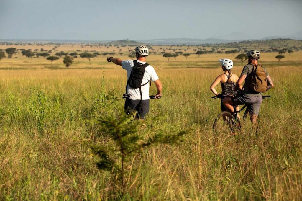I've been on dozens of african safaris, and this is