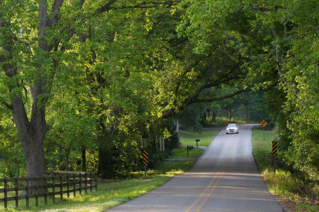 This u.s. state has the most road rage, report finds