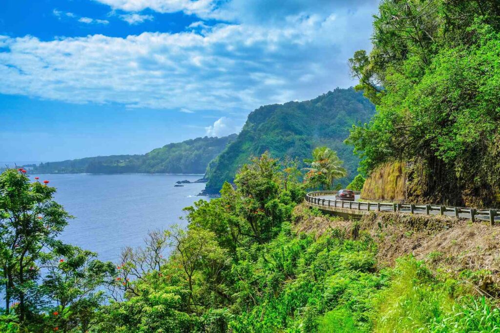 This u.s. roadtrip goes through lush rainforest with stunning waterfalls