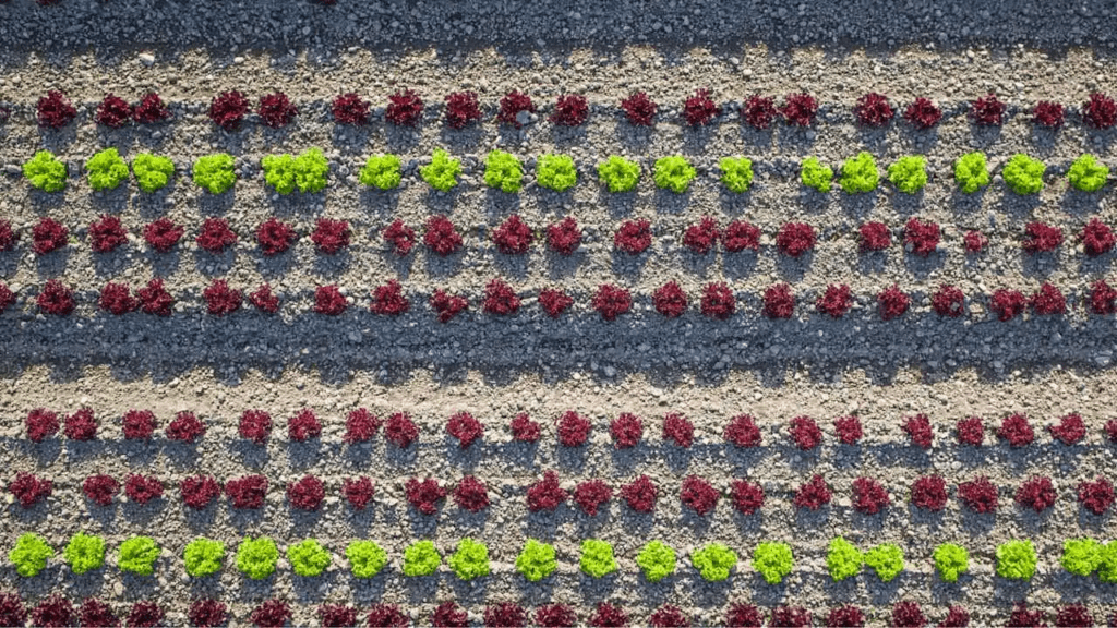 3 lessons i learned from regenerative agriculture